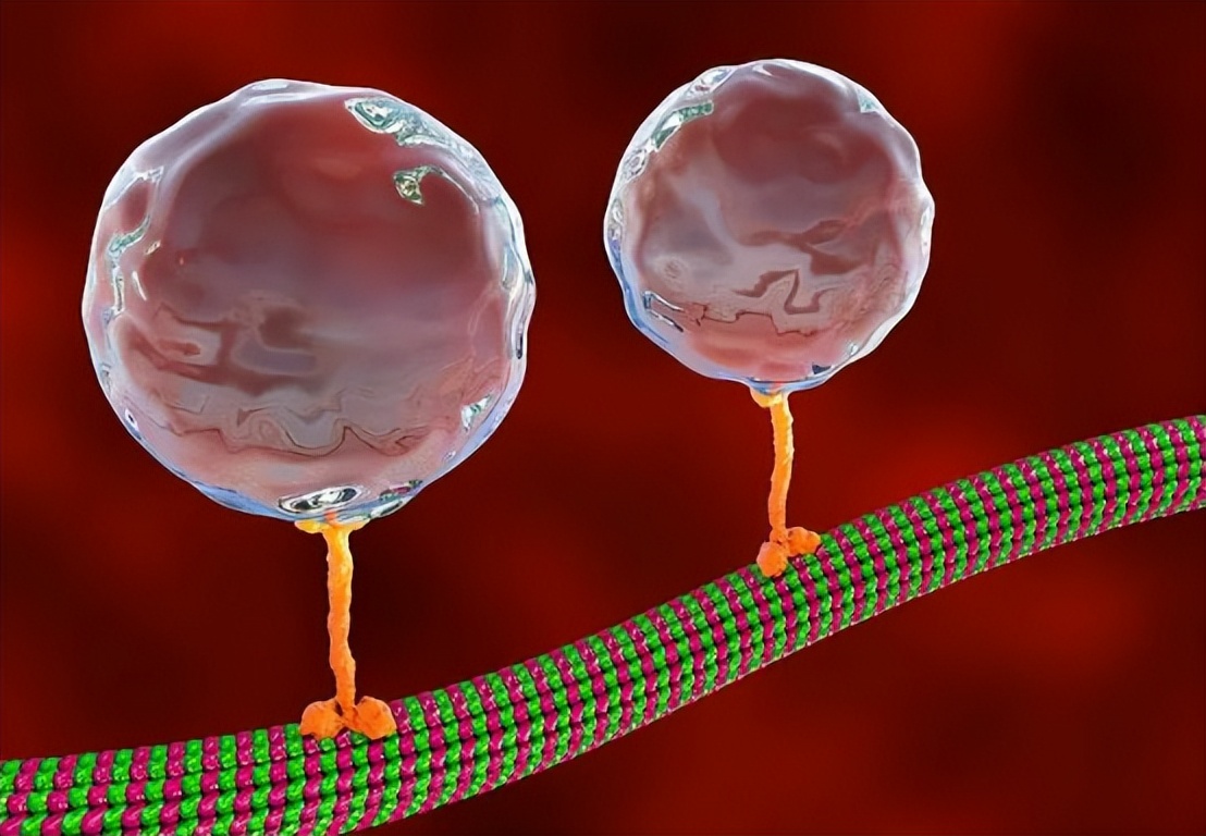 烧伤患者创面处理,烧伤创面处理的原则主要是