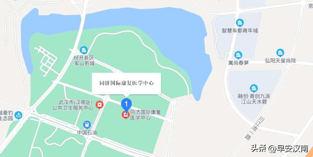 武汉汉南新开的医院,汉南三甲医院
