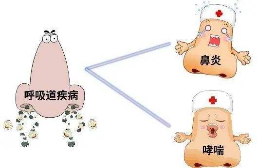 过敏性鼻炎中医怎么治疗效果最好,过敏性鼻炎怎么治疗效果最好偏方