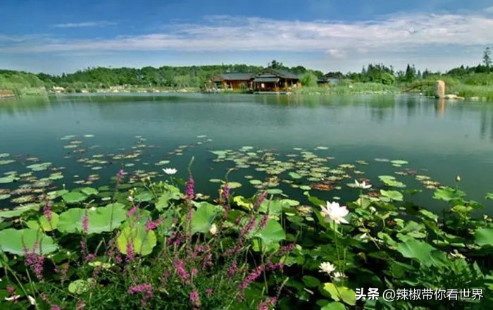 行走姑苏诗画山塘,苏州市姑苏区名胜古迹旅游景点图
