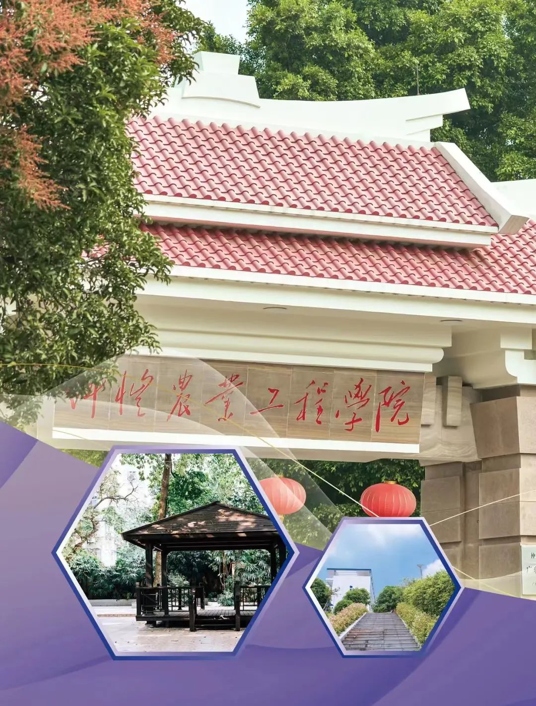 仲恺农业工程学院专插本2023录取,仲恺农业工程学院2023招生