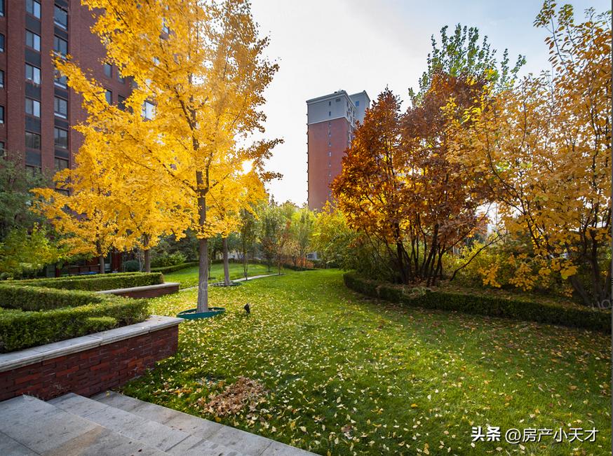 北京北苑地区的别墅,北京十大顶级富人小区