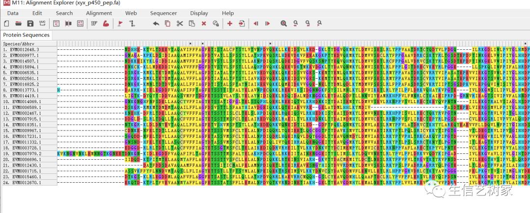 TBtools|基因家族分析,进化树、Motifs、结构域