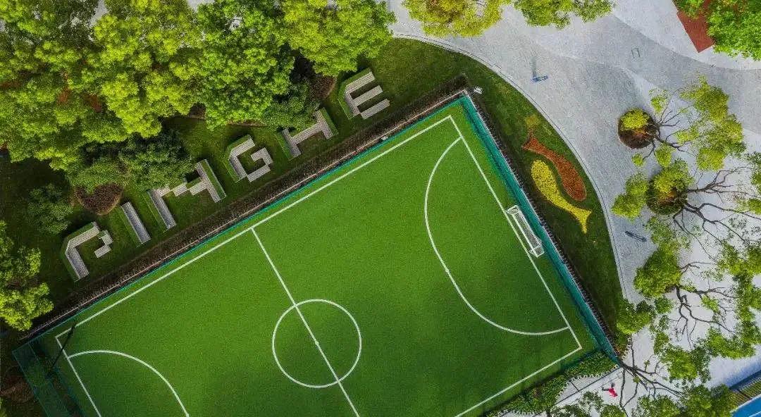 上海平和双语学校和世外哪个好,上海青浦平和双语学校