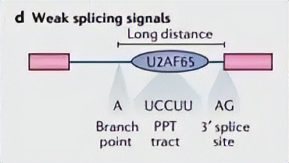 nature最新论文,nature论文最新发现