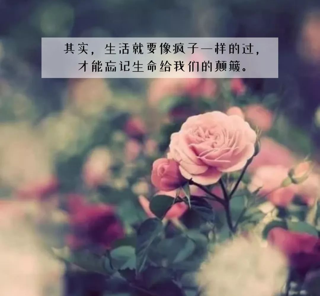 早安心语暖心句子正能量励志,早安心语正能量一句话简短图片