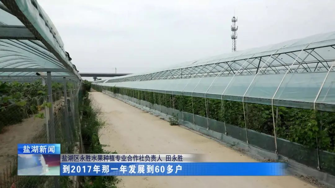 田永胜:小葡萄“串”起致富路