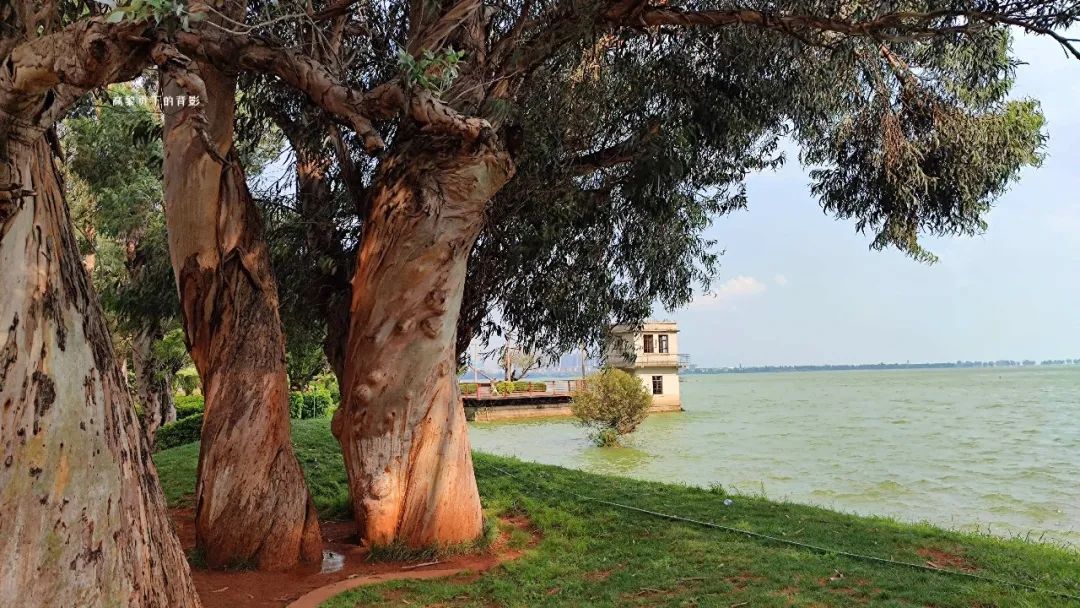 来海埂公园感受初夏浪漫,享受周末休闲快乐时光