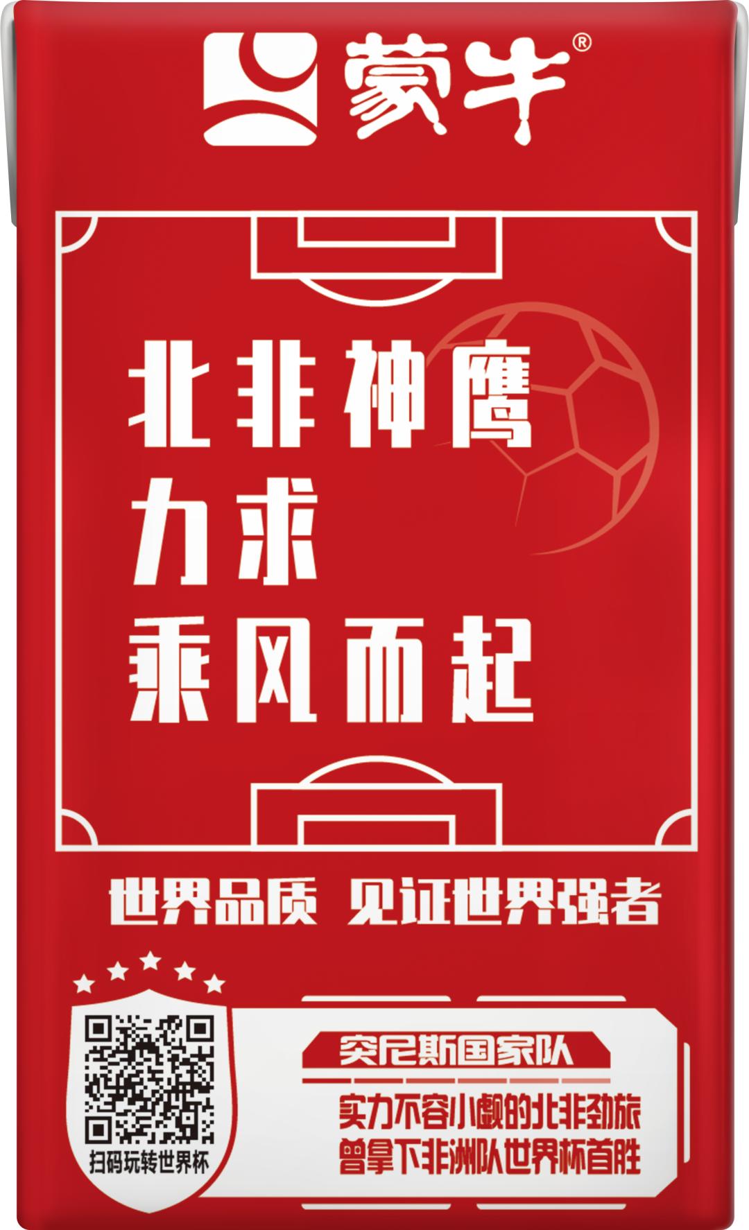 世界杯队长纪录片b站,国家队队长的故事