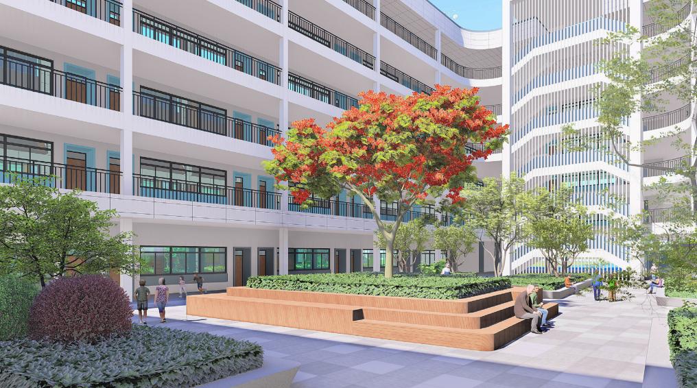 打造学生健康快乐成长的“林中学堂”，这所深圳高中做到了！