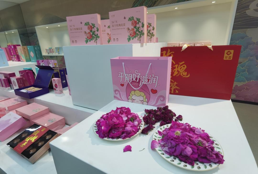 平阴玫瑰博览会门票,2019平阴玫瑰产业博览会