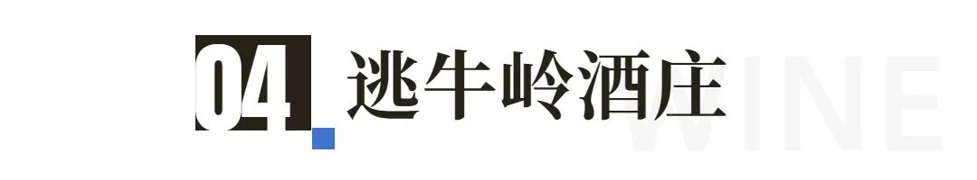 让世界微醺！沿着北纬37度黄金海岸，邂逅东方“波尔多”！