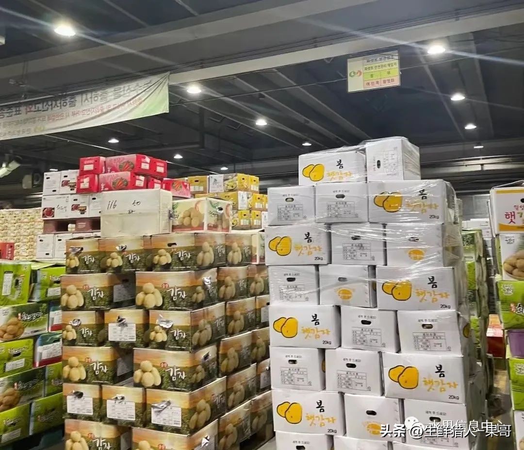 世界第一果蔬批发市场,中国十大果蔬批发市场