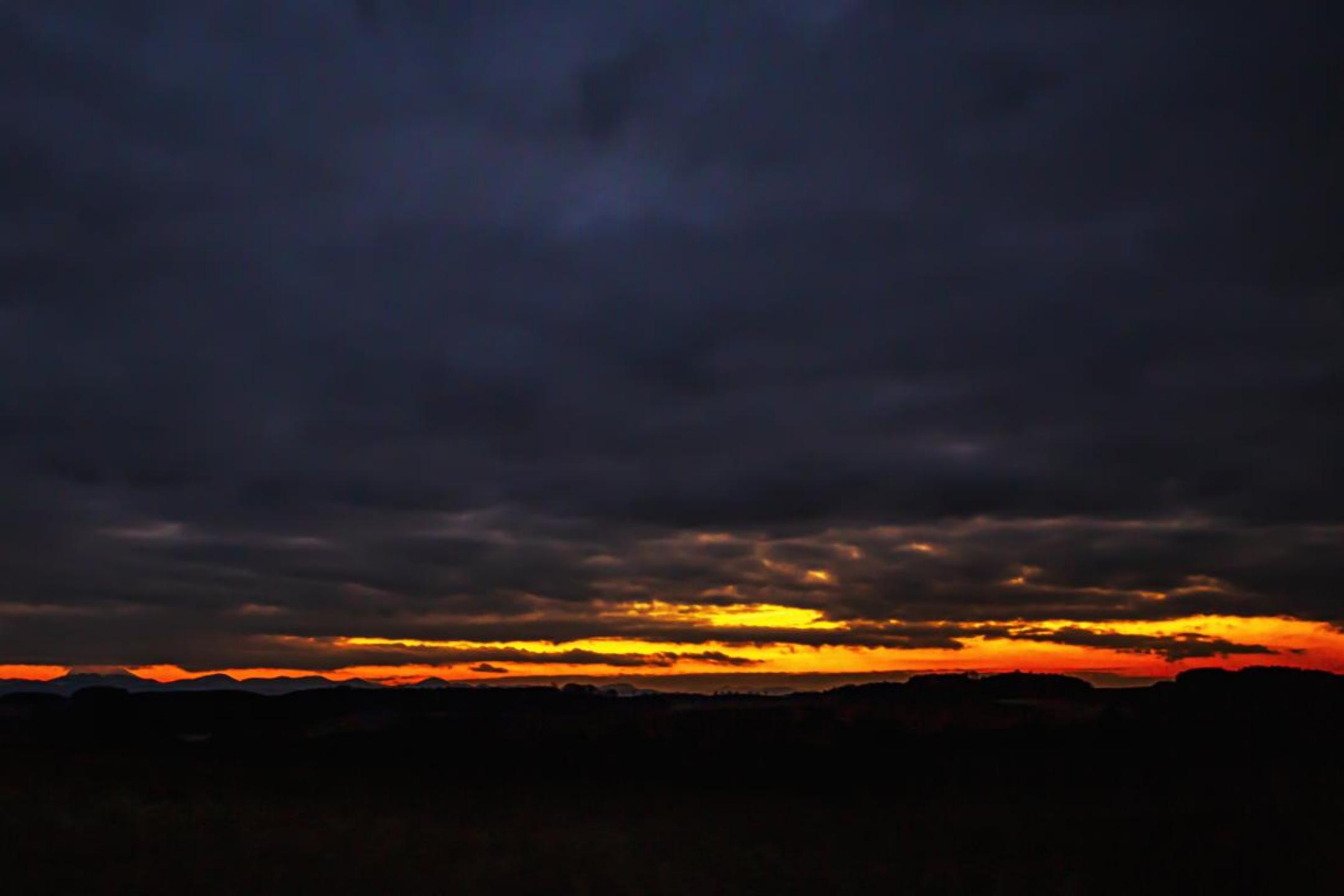 重生第23集免费观看,重生第二十一章