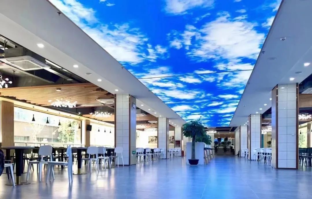 中考普高滑档为什么会没有学籍,中考滑档学生的学籍到哪里了