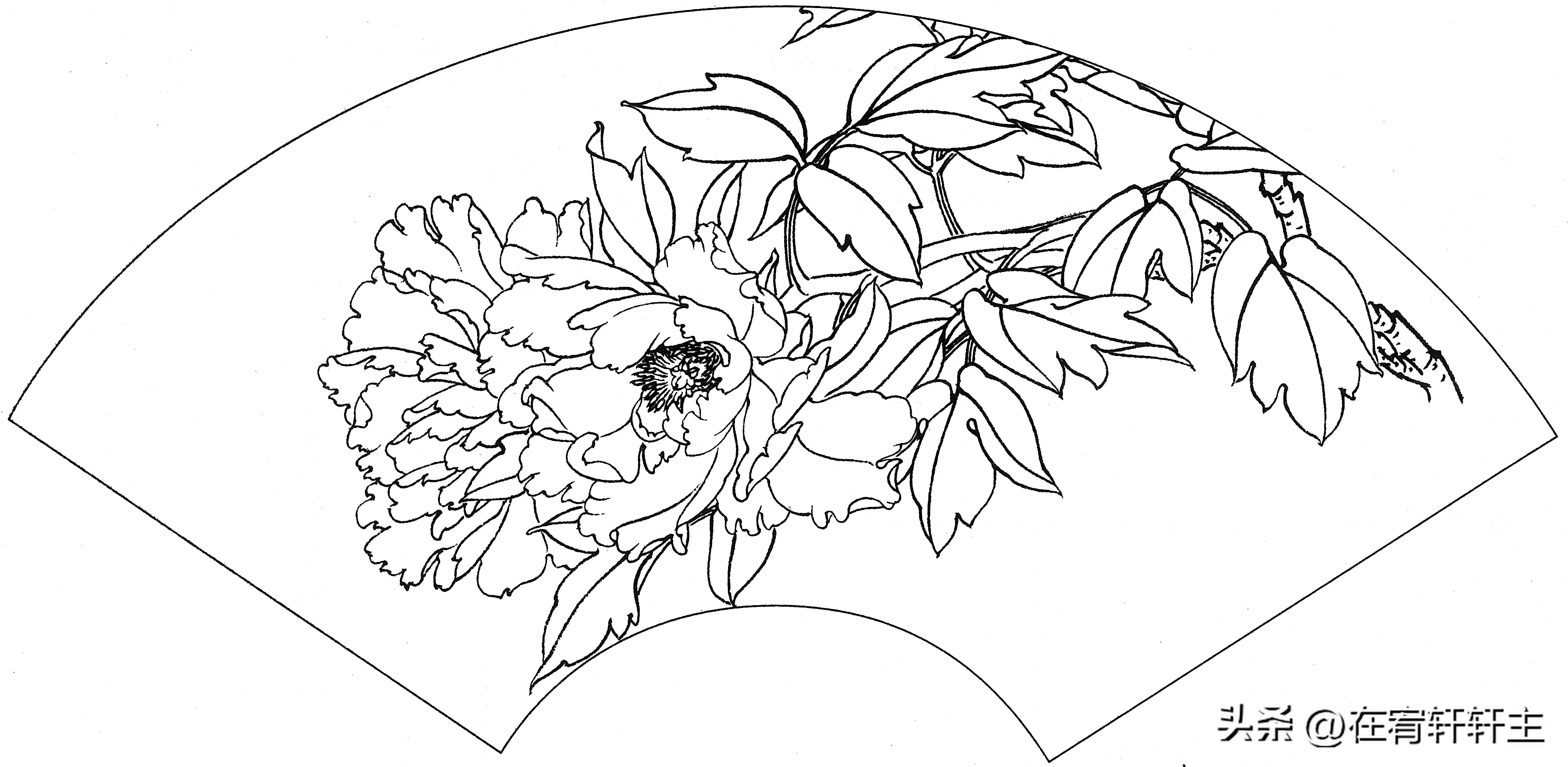 工笔白描祥云图案扇面,工笔扇面葡萄白描图片