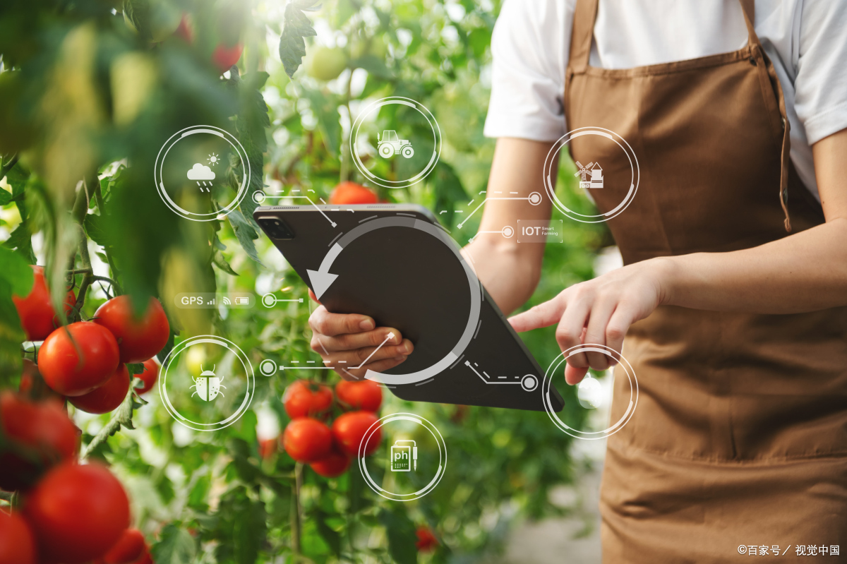 消费致富电商必是未来新模式,定西岷县电商激活农民致富潜能