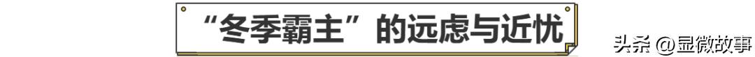 “阳过”们的第一批报复性消费，卖雪地靴的桑坡人最清楚