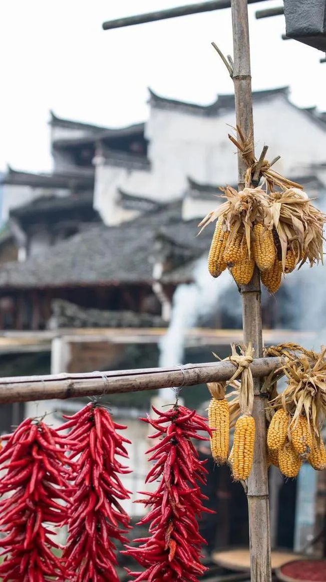 爱戴加厚内衣无痕无钢圈,爱戴最新内衣发布会