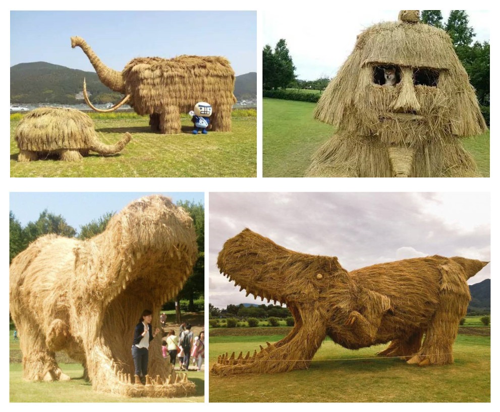 关于农作物秸秆禁烧的政策,你怎么看秸秆禁烧令