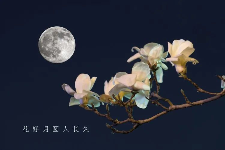 滦州古城都有哪些特色美景,滦州古城江南