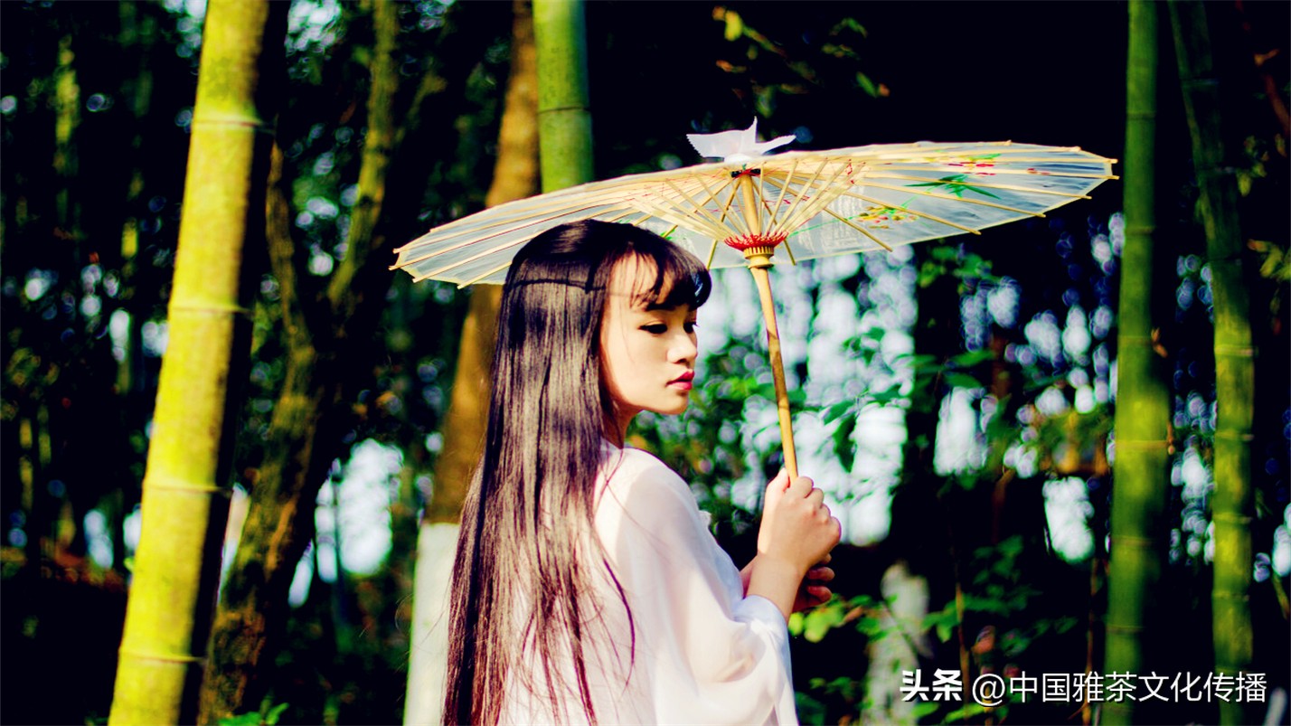 岁月与时光感悟人生,惊艳回眸的时光