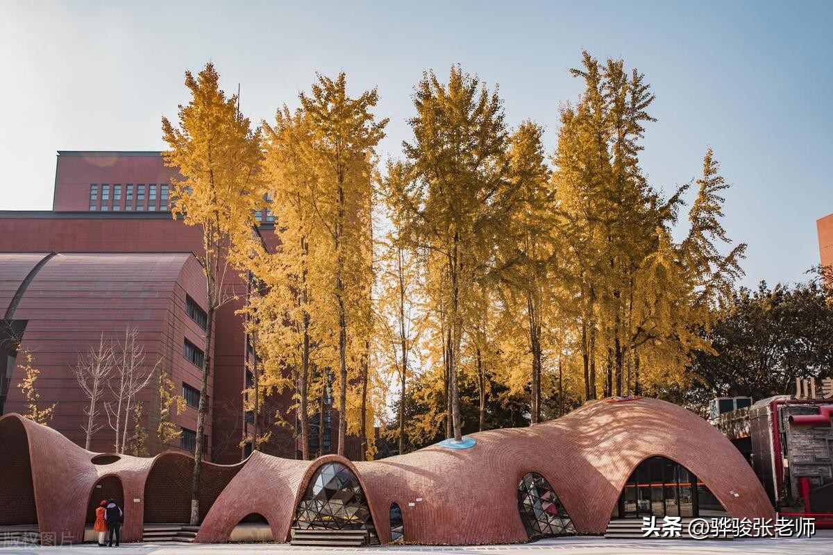 八大美院有985和211吗,八大美院有几个985院校