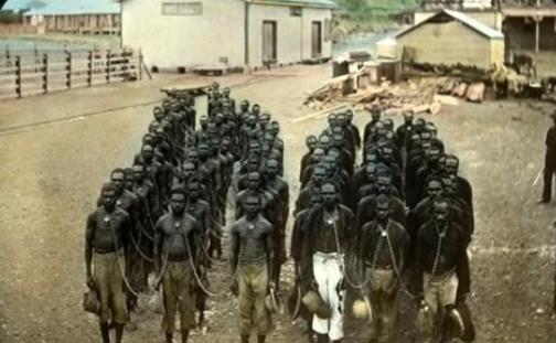 跪着当枪100年，你对澳大利亚的奴性和杀性可能一无所知