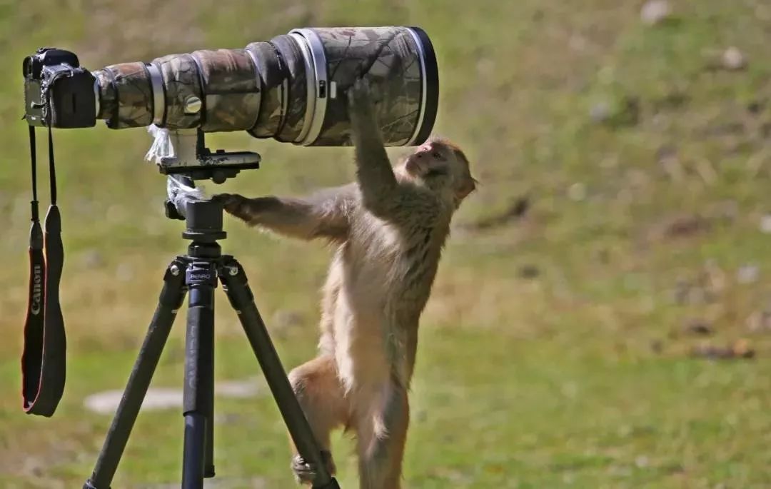 川西阿坝旅游详细攻略地图,川西阿坝旅游攻略三天