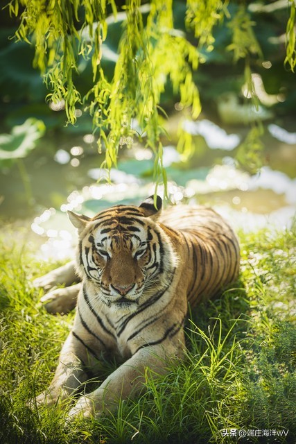 去上海十个必打卡地，每一个都美不胜收