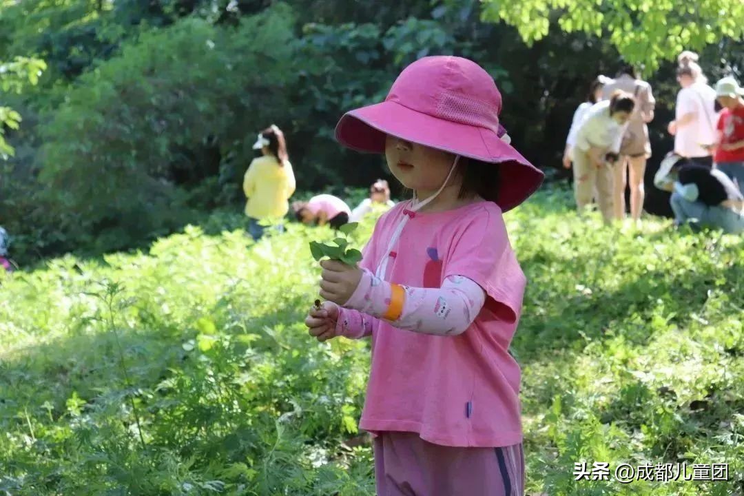 成都五一假期带孩子去哪里玩,五一成都带娃游