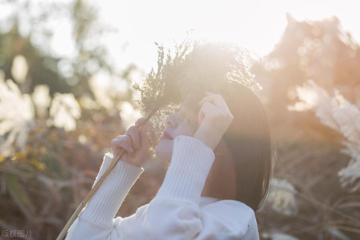 女人要有一番自己的事业的词语,女人要有事业和生活