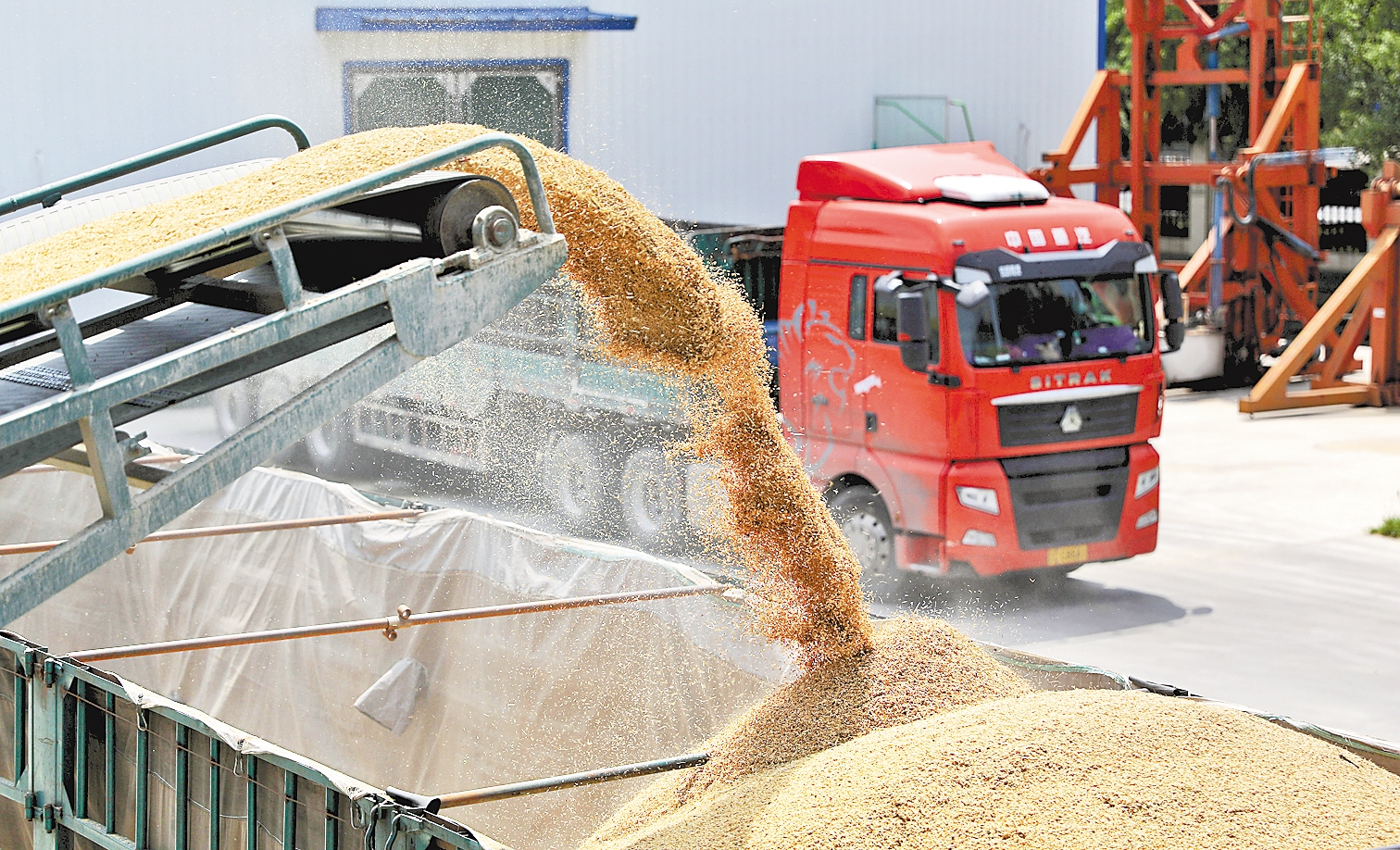 美国也开始犯糊涂了？为何美国宁愿“倒贴”，也要向中国出口粮食