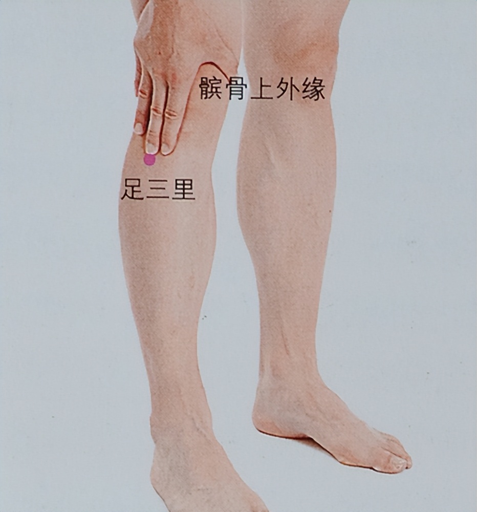 糖尿病胃轻瘫吃的中成药,糖尿病性胃轻瘫中药