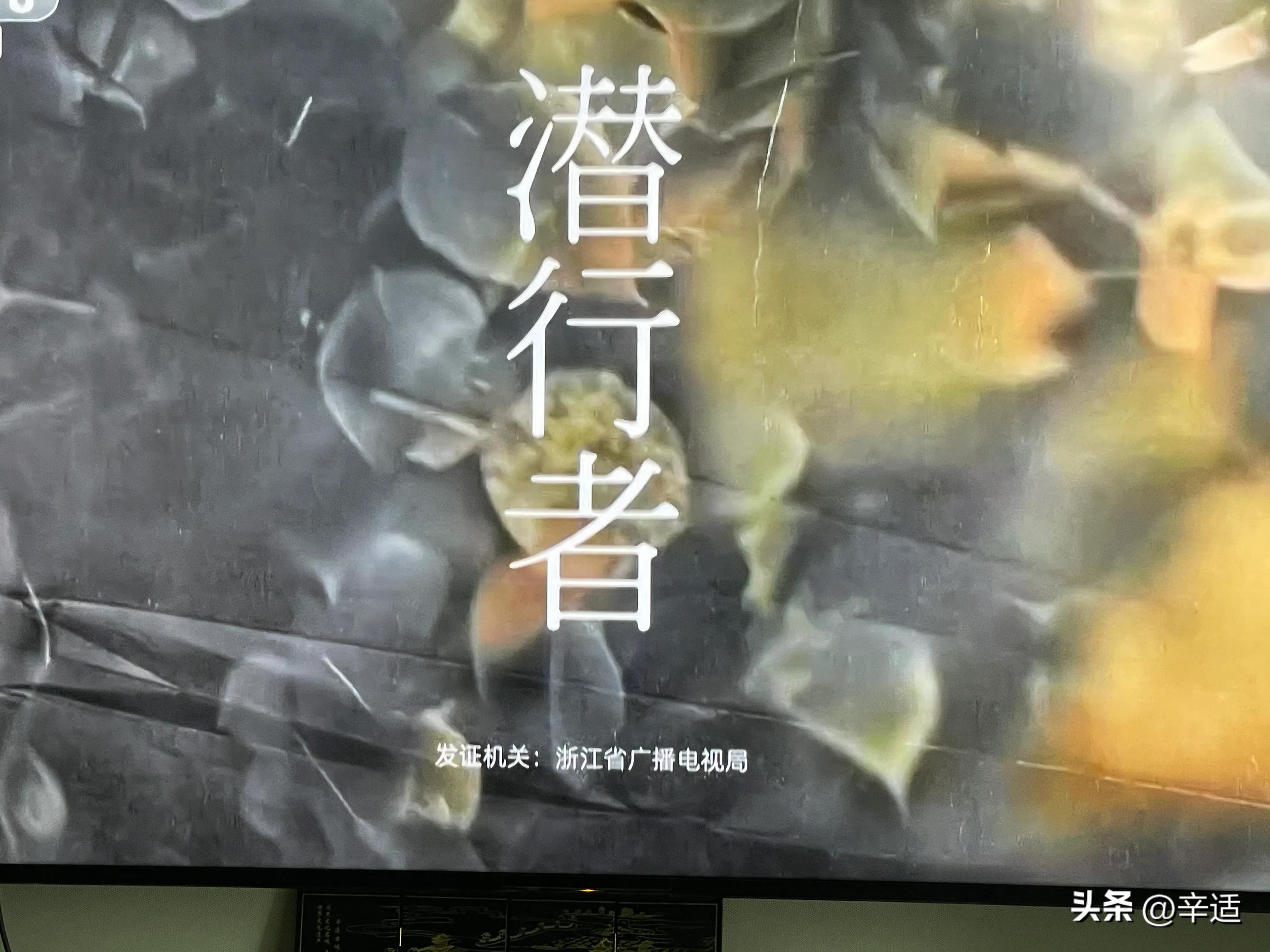 潜行者好看,潜行者好看吗测评