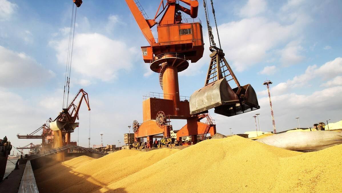 美国会不会停止对中国出口大豆,美国卡脖子最新信息