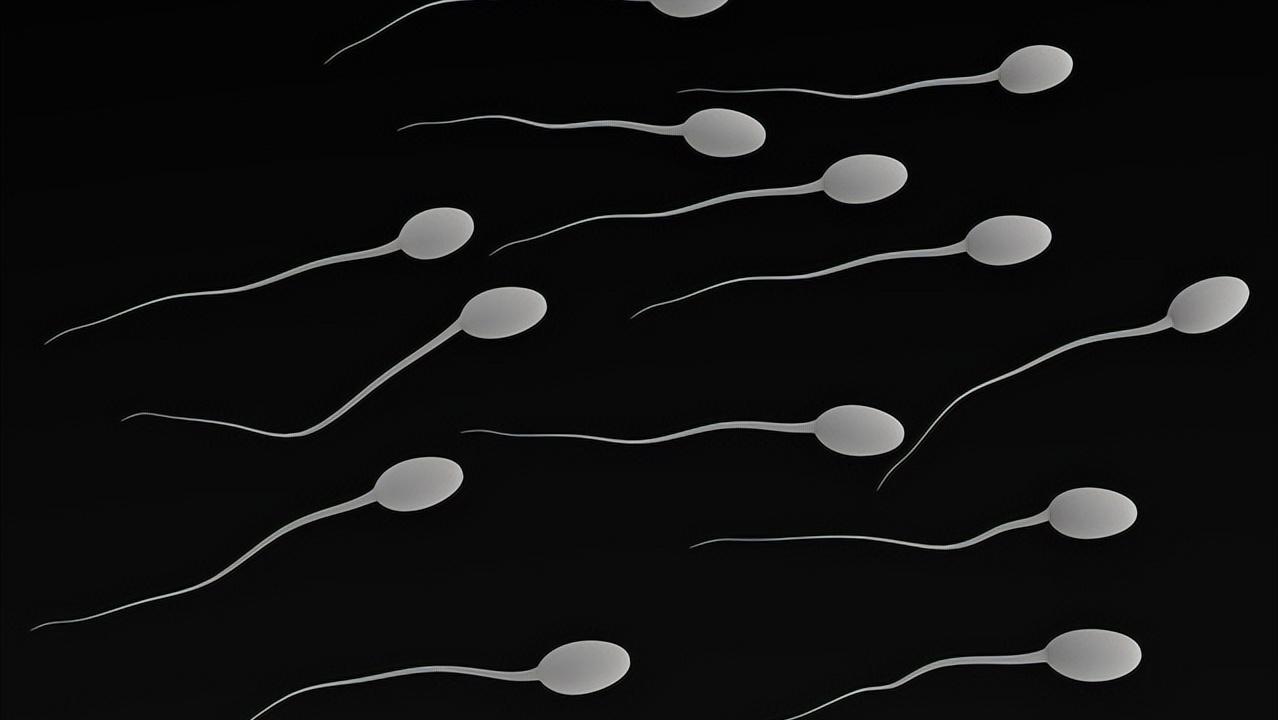 阴茎假体植入手术，术后所有感觉仍然存在？影响生育吗？涨知识了