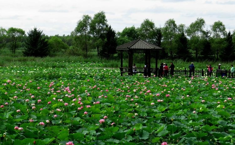 黑龙江冷门旅游城市,黑龙江省五一冷门亲子游