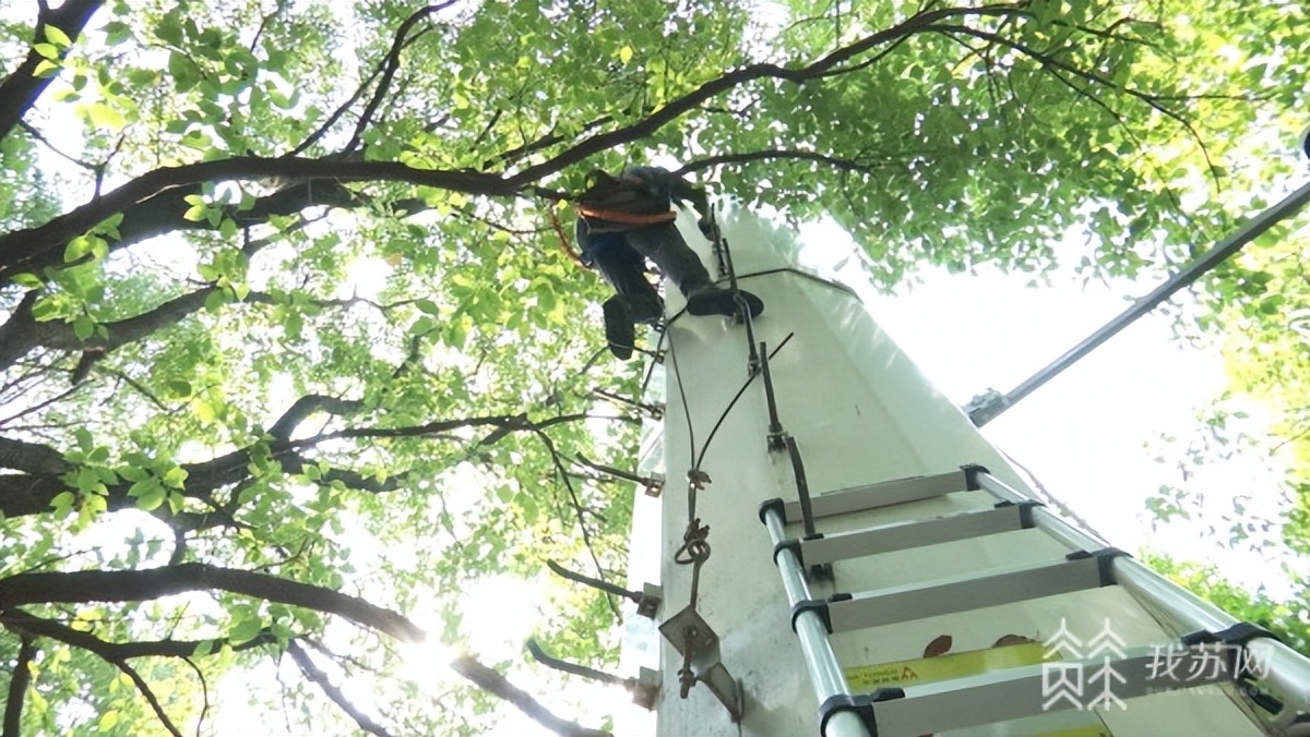 高温下的坚守建筑工人全身湿透,高温下的坚守致敬烈日下的建设者