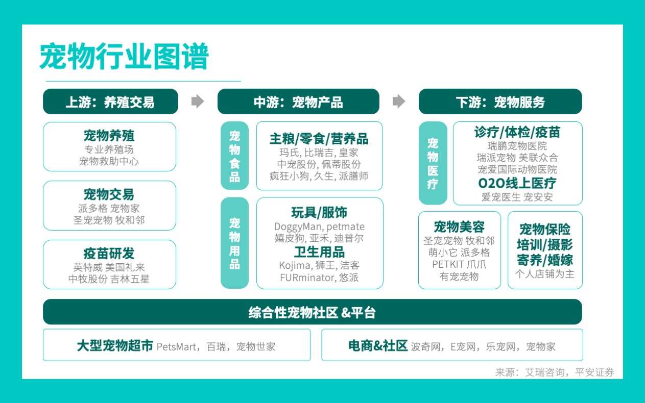 千亿市场、月薪过万,宠物美容是个暴利的好差事?
