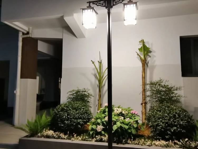 常州实验小学视频,常州市新桥实验小学一校