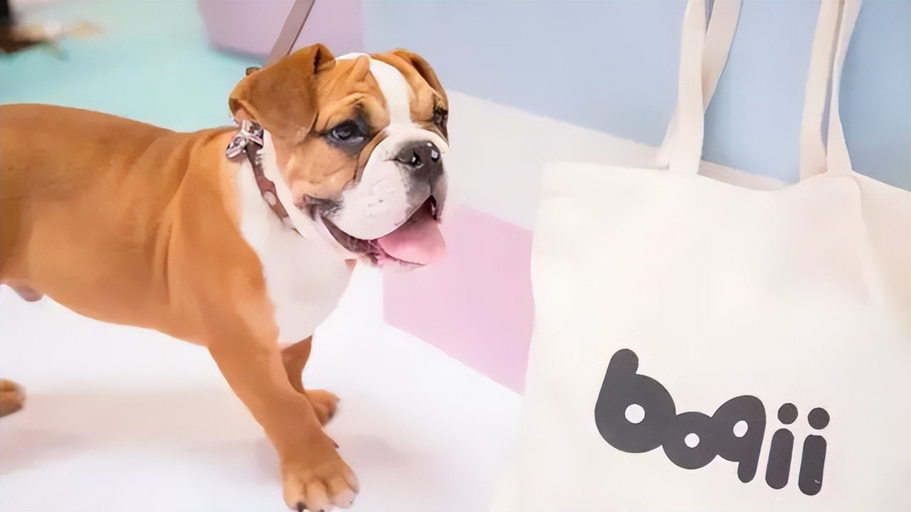 私域用户1500万,宠物私域后端变现模式