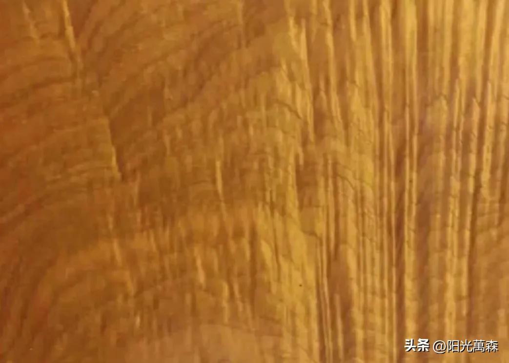 十大珍贵木材之金丝楠木,赏析明清三大贡木