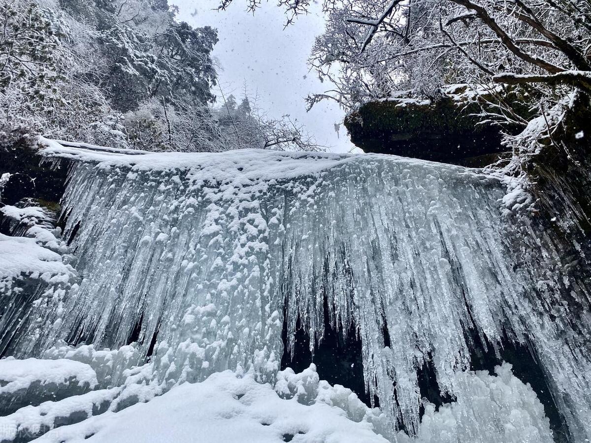 藏南林芝管辖地图,西藏藏南林芝县