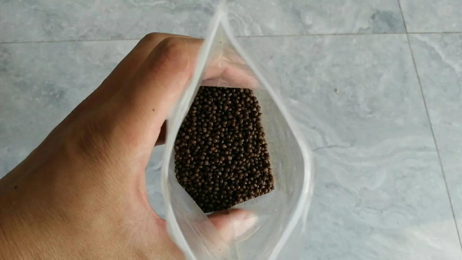 怎么判断小乌龟是否存活,小乌龟能活很久的办法是什么