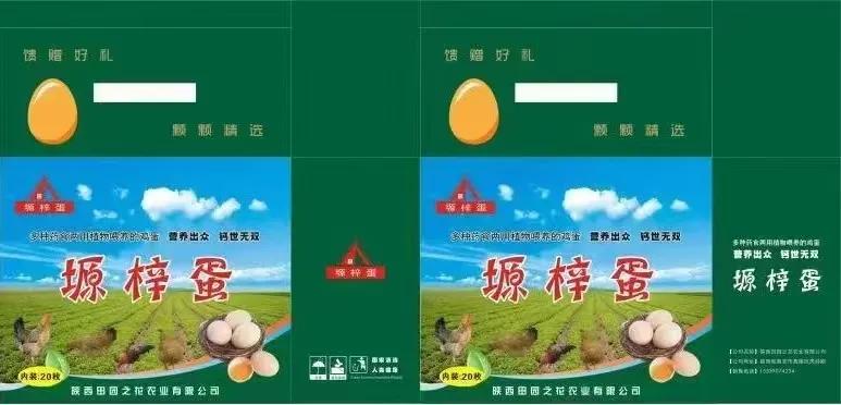 山东养心菜种植基地,河南养心菜种植基地