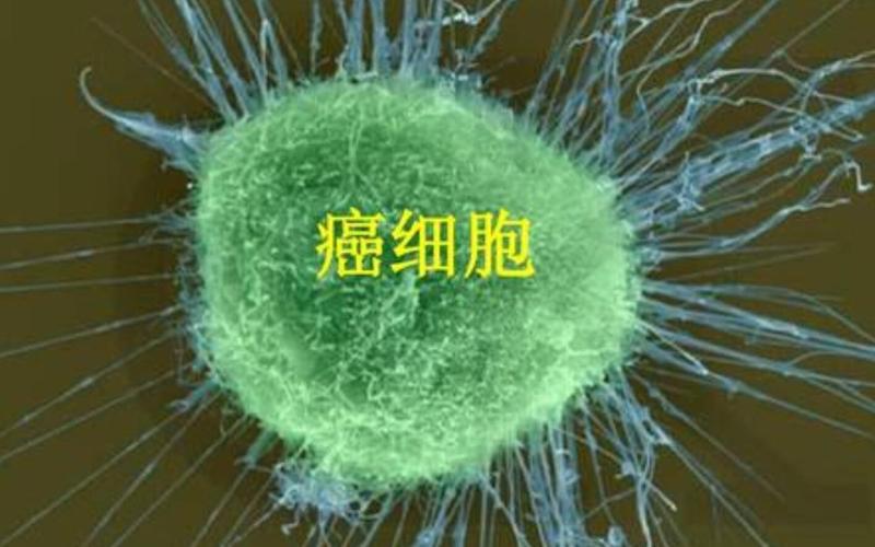 假如得了癌症还会治疗吗,中医可以根治癌症案例