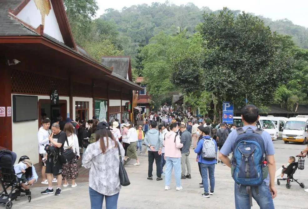 野象谷：给大象拴铁链子，好比人类遛狗的时候拴狗绳