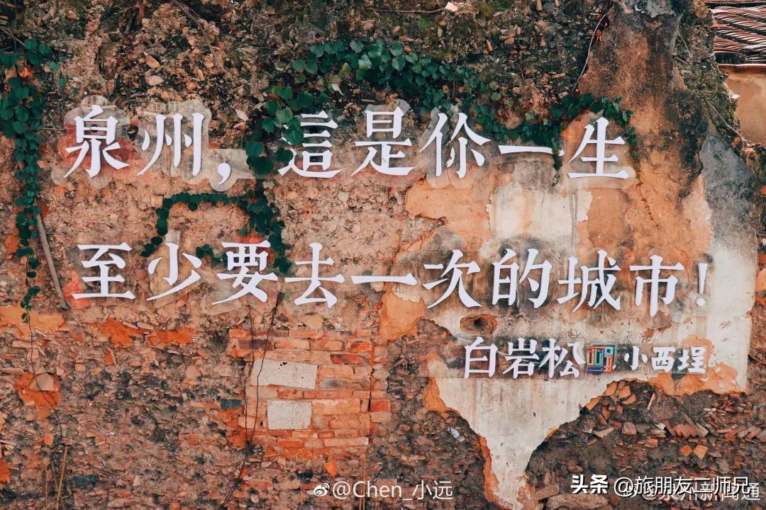 福建武夷山旅游攻略自由行,鼓浪屿武夷山土楼旅行8日游