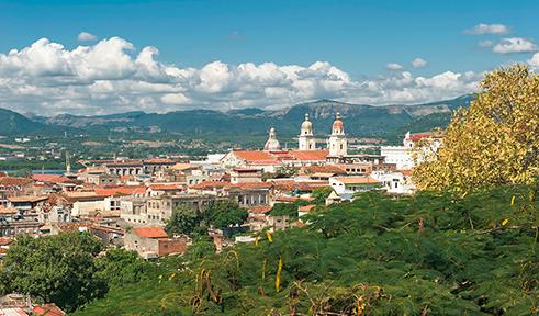 南美巴拉圭,南美巴拉圭苏木